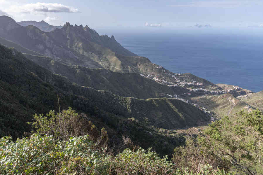 Tenerife 117 - parque rural de Anaga.jpg